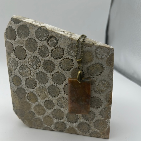 Coral Fossil Rectangle Pendant Necklace - Picture 8 of 9